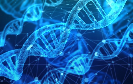 DNA